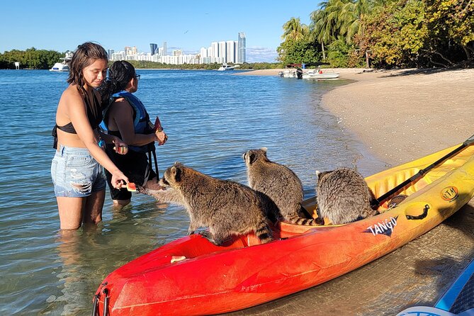 Nature & Island Exploration on SUP/Kayak - Meeting Point and Logistics