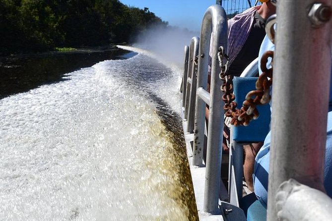 New Orleans Airboat Ride - Connecting With Nature in the Swamplands