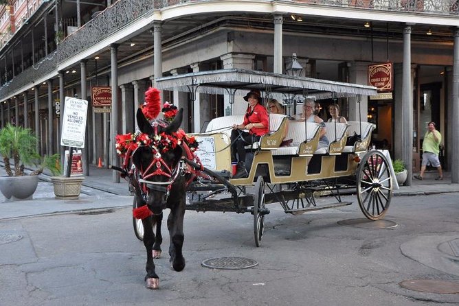 New Orleans French Quarter and More Carriage Ride - Glowing Customer Feedback