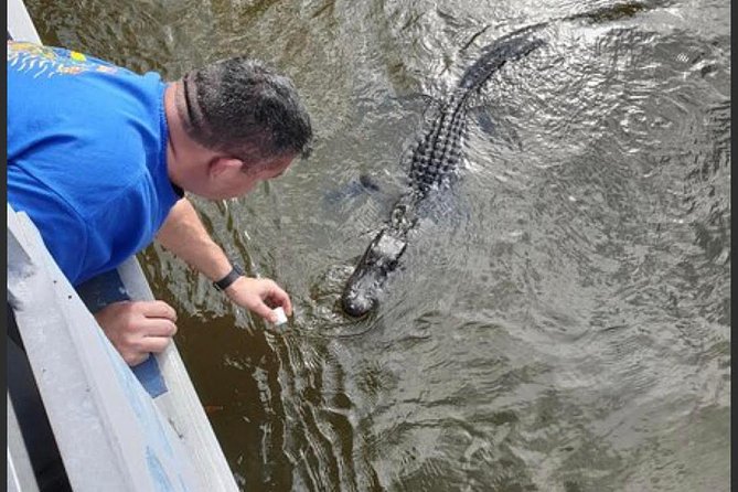 New Orleans Swamp Tour Boat Adventure - Planning Your Swamp Adventure