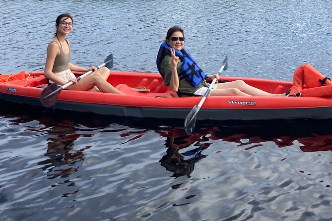 New Smyrna Dolphin and Manatee Kayak and SUP Adventure Tour - Scenic Kayaking and Paddleboarding