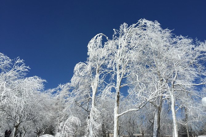 Niagara Falls Winter Wonderland USA Tour (Small Groups) - Wintertime Scenery and Activities