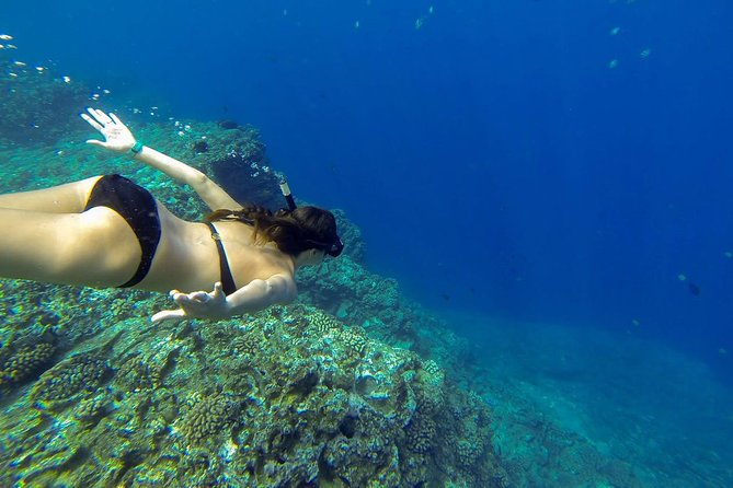 Niihau and Na Pali Coast Snorkel Boat Tour - Safety Considerations