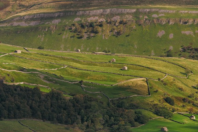 North York Moors and Whitby Day Tour From York - Logistics and Meeting Information