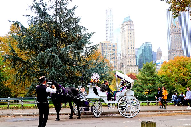 NYC Central Park Horse Carriage Ride (Up to 4 Adults) - Highlights of the Central Park Trail