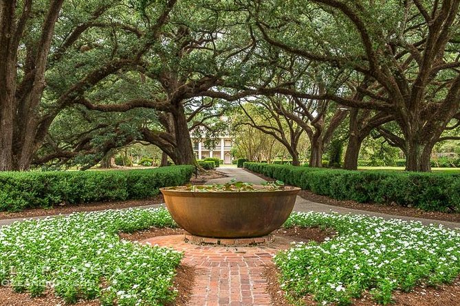 Oak Alley Plantation and Large Airboat Swamp Tour From New Orleans - Wildlife Sightings and Safety Considerations