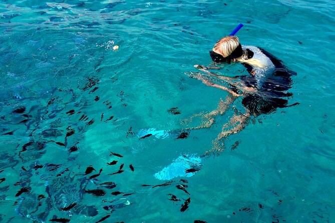 Observation of Dolphins and Snorkeling in a Rubber Boat in Olbia - Meeting Point and Pickup Details