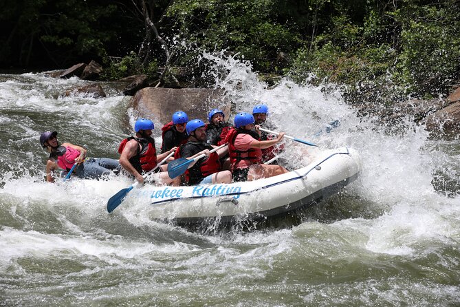 Ocoee River Middle Whitewater Rafting Trip (Most Popular Tour) - Consistently Positive Customer Reviews