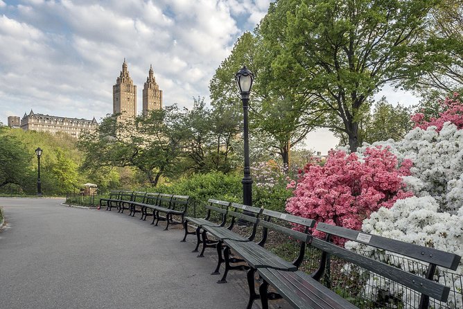 Official NYC Horse Carriage Rides in Central Park Since 1979 ™ - Safety and Sustainability