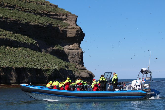 Original Big Whale Safari and Puffins RIB Boat Tour From Húsavík - Safety and Precautions