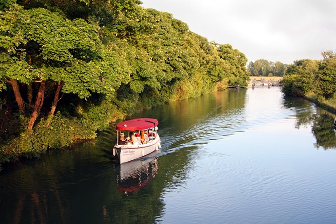 Oxford Sightseeing River Cruise Along The University Regatta Course - Encountering Wildlife and River Activities