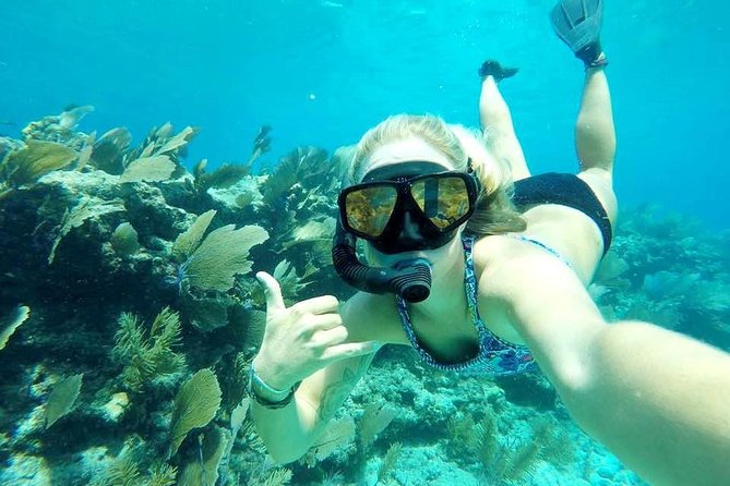 PM Half-Day Trip From Key West With Kayaking, Snorkeling & Sunset - Included Amenities and Gear