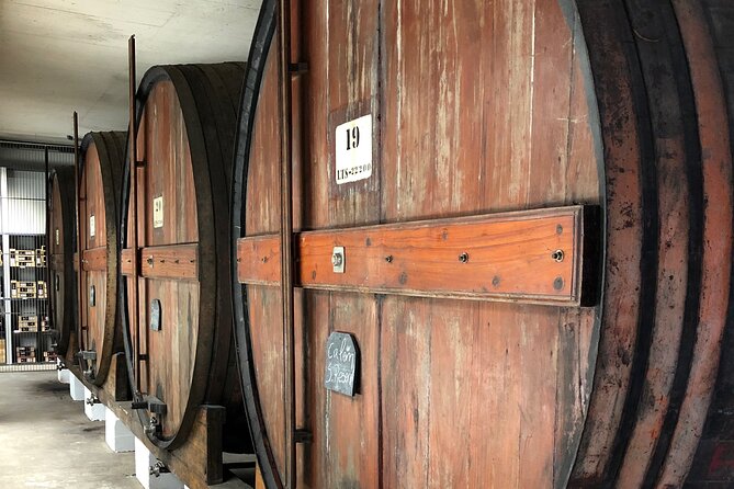 Port Wine Tour | 3 Cellars | 7 Tastings | 12 Participants Maximum - Unique Local Experiences