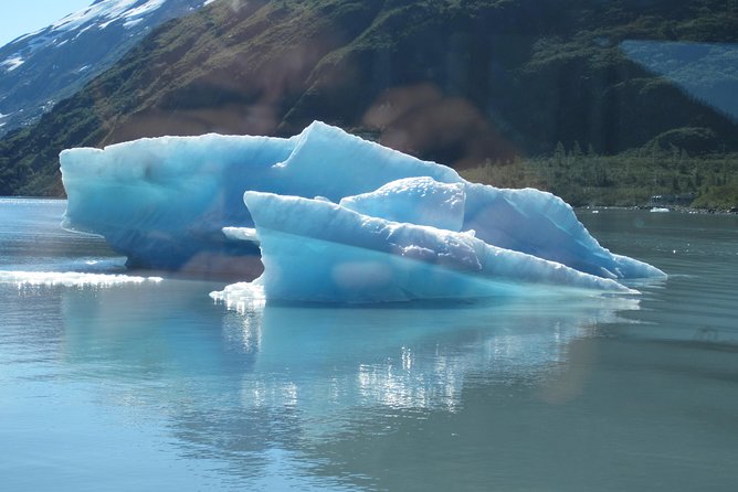 Portage Glacier Cruise and Wildlife Explorer Tour - Inclusions and Logistics