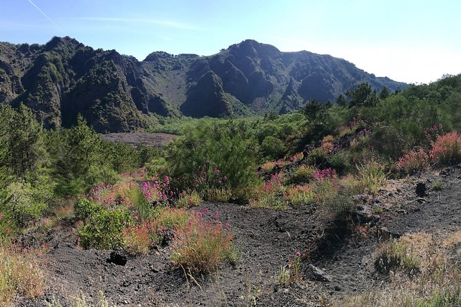 Private Day Tour to Vesuvius, Herculaneum & Pompeii With Pick up - Unparalleled Opportunity