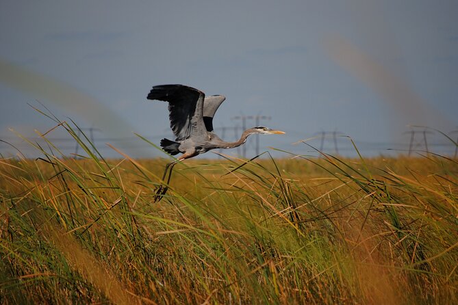 Private Tour: Florida Everglades Airboat Ride and Wildlife Adventure - Important Information