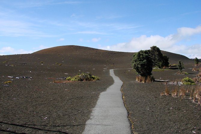 Private Tour: Hawaii Volcanoes National Park Eco Tour - Accessibility and Accommodation