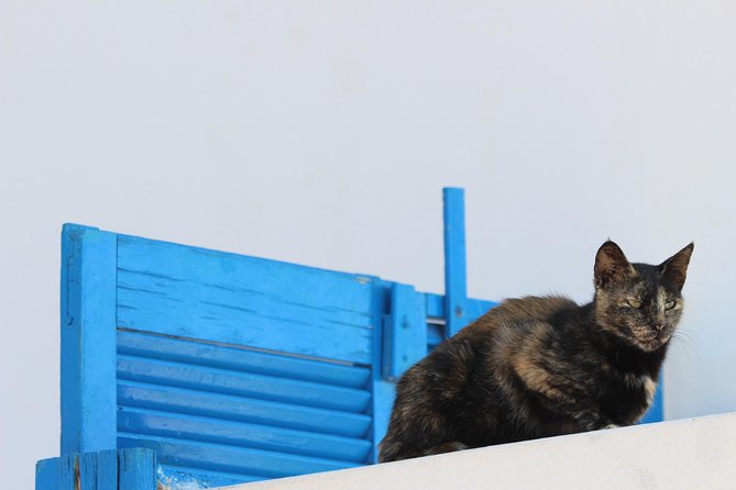 Private Tour: Mykonos Island in Half a Day - Exploring the Islands Charm