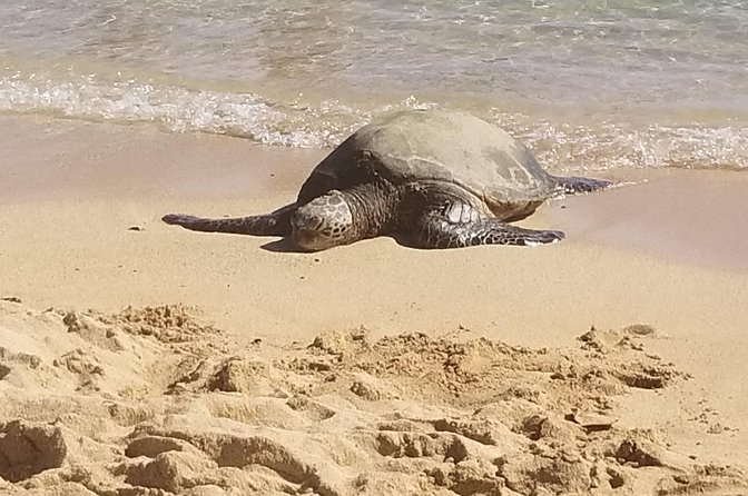 Private Waimea Canyon Tour - Exploring Kauais Unique Attractions