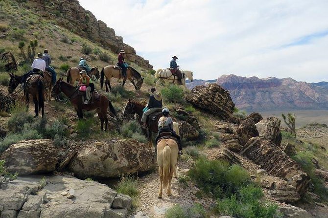 Red Rock Canyon Sunset Horseback Ride and Barbeque Dinner - Customer Feedback and Ratings