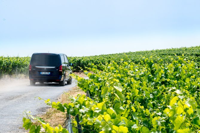 Reims Afternoon Tour Champagne and Family Growers - Exploring the Champagne Region