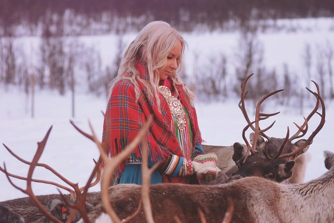 Reindeer Sledding and Feeding With Sami Culture in Tromso. - Recommendations for Travelers