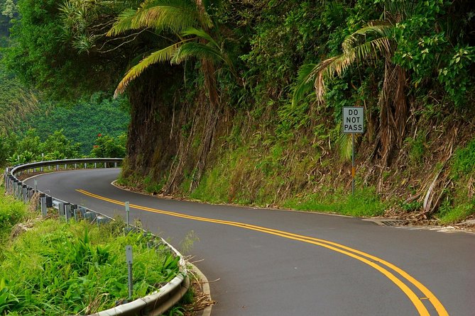 Road to Hana: Full-Day Scenic Drive With Blacksand & Waterfalls - Knowledgeable Tour Guides and Local Insights