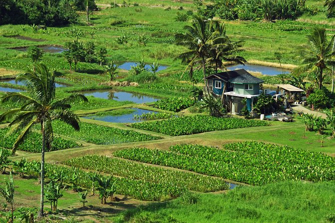 Road to Hana Tour With Lunch and Pickup - Customer Feedback