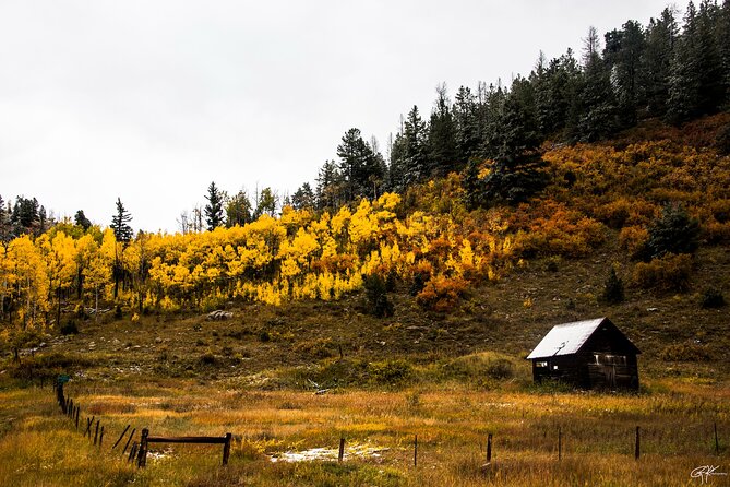 Rocky Mountain Escape - Wildlife Viewing Opportunities