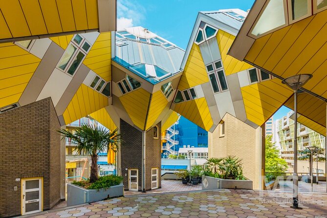 Rotterdam, Delft and the Hague Small Group Tour From Amsterdam - Traveler Reviews and Feedback