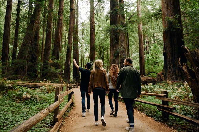 San Francisco, Muir Woods, Sausalito and Optional Alcatraz Tour - Tour Features and Inclusions