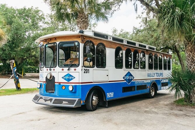 Savannah to Tybee Island With Dolphin Cruise - Guest Feedback and Ratings