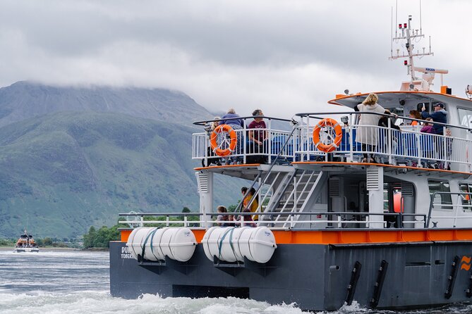 Seal Island Cruise Tour - Customer Experiences and Feedback
