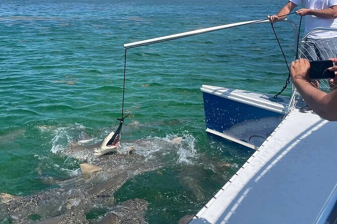 Shark and Wildlife Viewing Adventure in Key West - Included Amenities and Gear