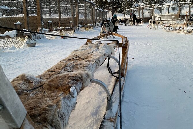 Sit Down Husky Ride Dog Sled Tour in Kiruna - The Unique Scenery of Kiruna