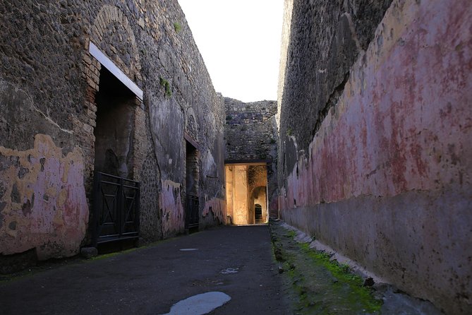 Skip the Line Guided Tour of Pompeii Led by an Archaeologist - Skip-the-Line Access and Efficient Tour Duration