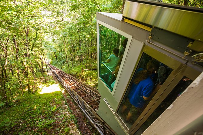 Skocjan Caves, Lipica & Piran: Karst & Coast Small-Group Day Trip From Ljubljana - Traveler Feedback and Recommendations