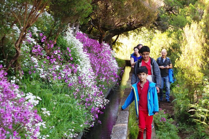 Skywalk 4x4 Experience and Rabacal 25 Fountains Levada Walk - Traveler Feedback and Recommendations