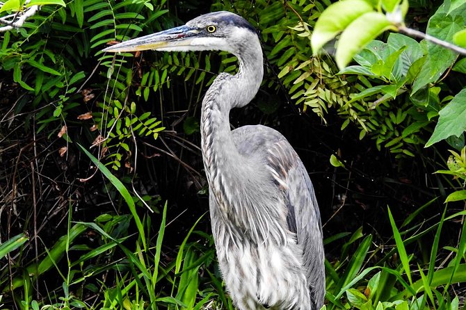 Small Group Florida Keys Eco Tour by Boat - Continuous Improvement Efforts