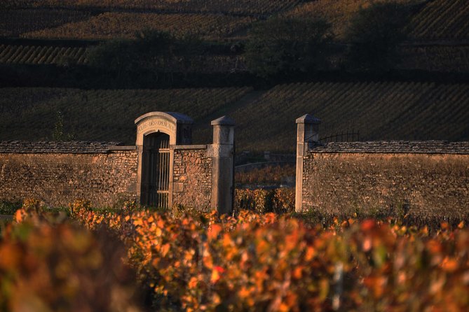 Small-Group Full-Day Tour of Côte De Nuits, Côte De Beaune Vineyards and Beaune Historical District - Exploring Côte De Nuits Vineyards