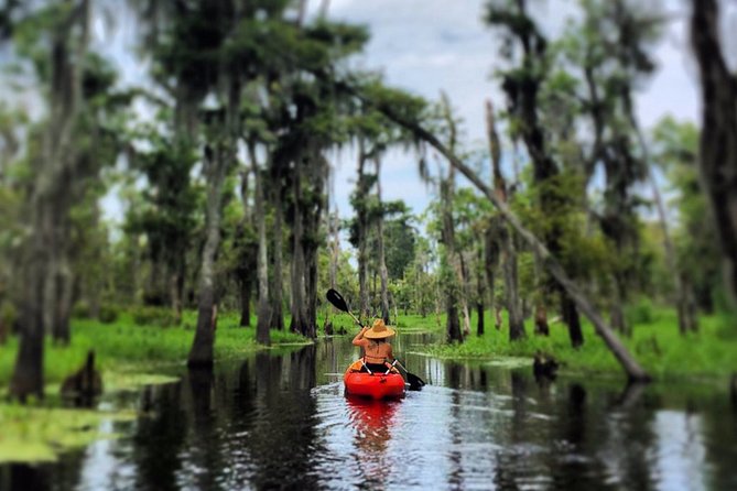 Small-Group Manchac Swamp Kayak Tour - Tour Highlights