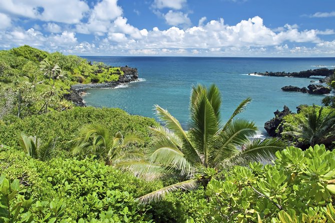 Small-Group Road to Hana Adventure Tour With Pickup & Lunch - Reviews and Ratings