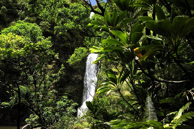 Small-Group Road to Hana Luxury Tour - Preparing for the Road to Hana Adventure