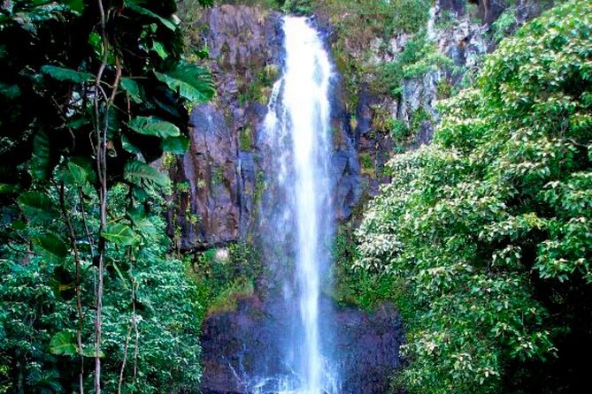 Small Group Road to HāNa Tour 6 to 8 Passengers - Savoring the Delicious Cuisine