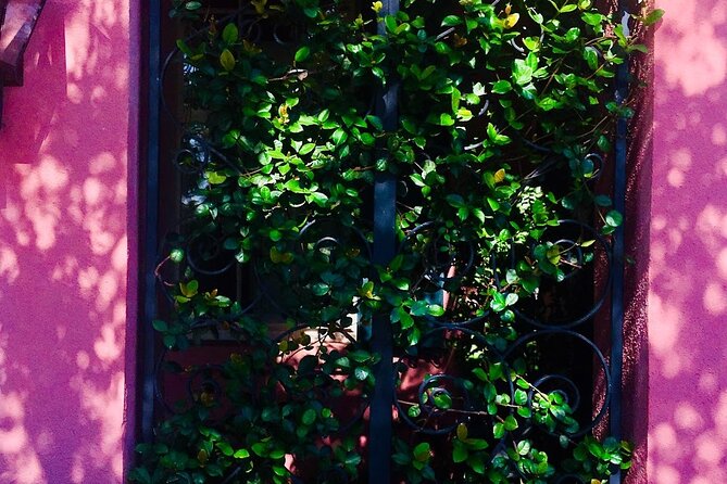 Small-Group Tour: Charleston Old Walled City Historical Walking Tour - Exploring the French Quarter