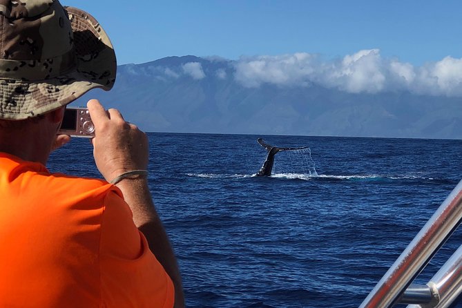 Small-Group Whale Watching Adventure - Highlights and Recommendations
