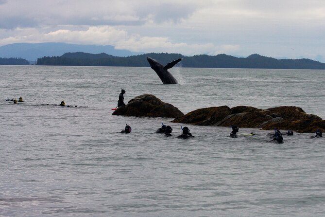 Snorkel Alaska - Preparing for the Adventure
