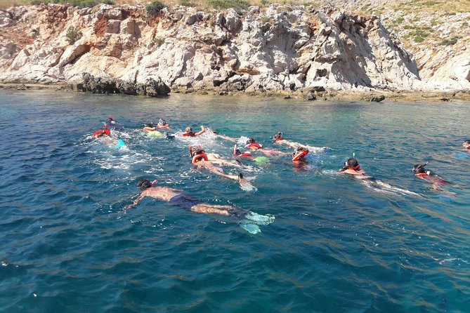 Snorkeling Marine Protected Area Tavolara - Feedback and Traveler Ratings
