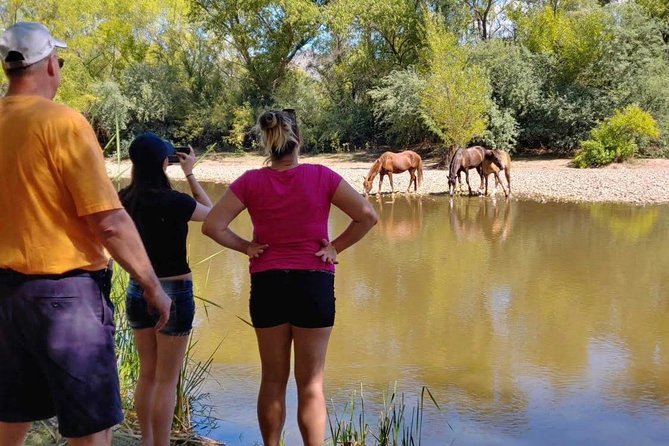 Sonoran Desert Jeep Tour - Seasonal Considerations