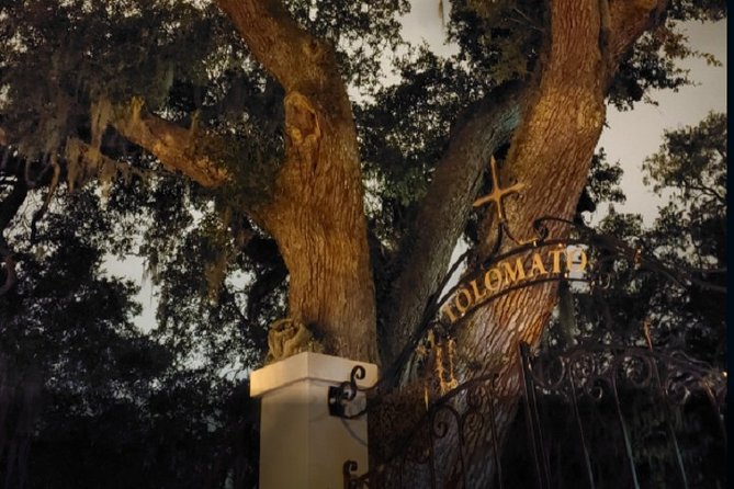 St. Augustine Ghost Tour: A Ghostly Encounter - Guest Feedback and Ratings
